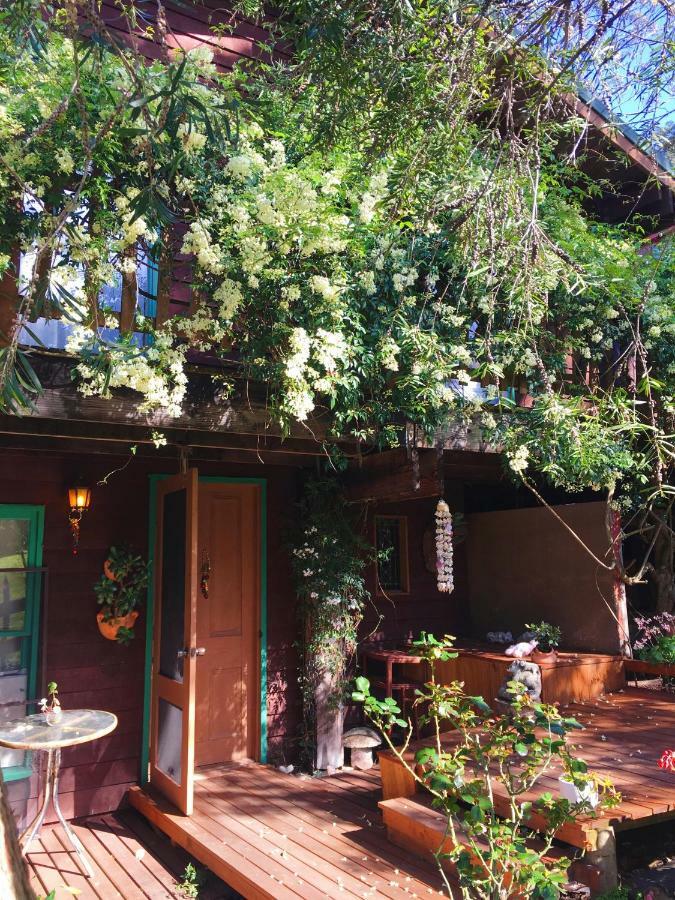 לייקס אינטרנס The Goat And Goose Bed & Breakfast מראה חיצוני תמונה